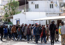 metanastes 1200x630.jpg