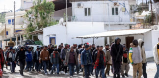 metanastes 1200x630.jpg