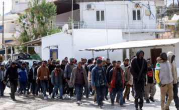 metanastes 1200x630.jpg