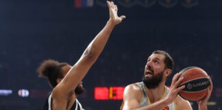 mirotic ape 1200x630.jpg