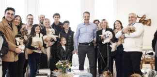 mitsotakis katoikidia mesi anatoli 2 1200x630.jpg