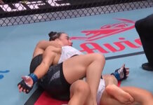 mma ufc knok down grab 1200x630.jpg