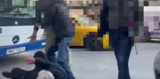 odigos oasth 1 1200x630.jpg