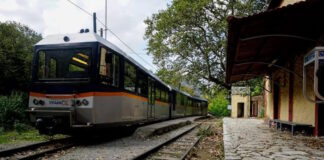 odontwtos ose 1200x630.jpg