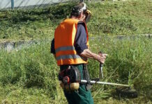 oikopeda katharismoi 300320236 1200x630.jpg