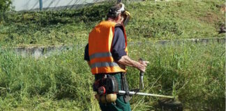 oikopeda katharismoi 300320236 1200x630.jpg