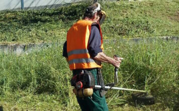 oikopeda katharismoi 300320236 1200x630.jpg