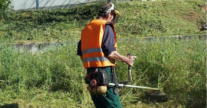 oikopeda katharismoi 300320236 1200x630.jpg oikopeda katharismoi 300320236 1200x630.jpg