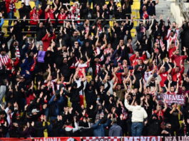 olyopadoi 1200x630.jpg