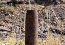 ovida 25032026 1200x630.jpg