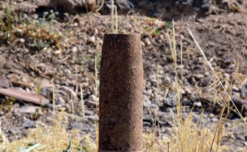 ovida 25032026 1200x630.jpg