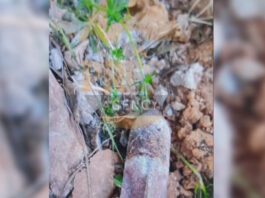 ovida2 25032026 1200x630.jpg