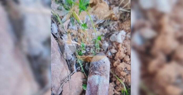 ovida2 25032026 1200x630.jpg