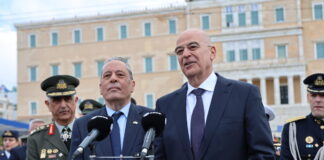 palmas dendias 1200x630.jpg