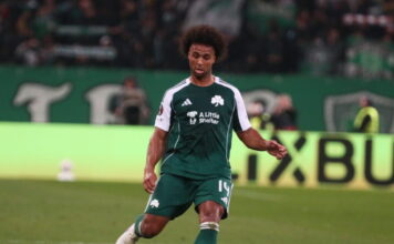 palmer brown 1200x630.jpg