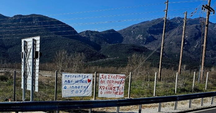 pano 1 1200x630.jpg pano 1 1200x630.jpg