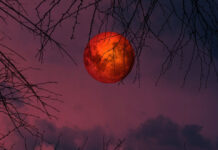 Σεληνιακή έκλειψη στις 03/03/2026: Πώς θα επηρεάσει τα 12 ζώδια panseli.jpg