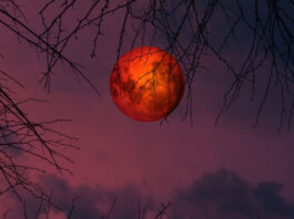 Σεληνιακή έκλειψη στις 03/03/2026: Πώς θα επηρεάσει τα 12 ζώδια panseli.jpg