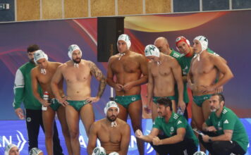 pao polo 1200x630.jpg