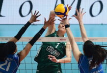 pao valefolia 1200x630.jpg