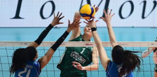 pao valefolia 1200x630.jpg