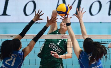 pao valefolia 1200x630.jpg