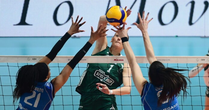 pao valefolia 1200x630.jpg