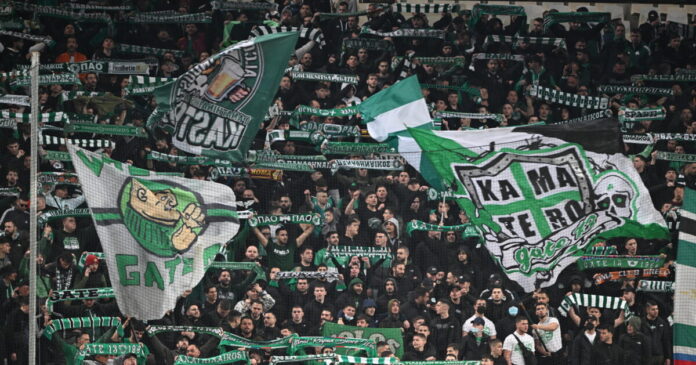 paofans 1200x630.jpg