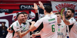 paovolley 1200x630.jpg