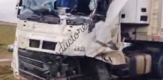 peru troxaio 24032026 1200x630.jpg