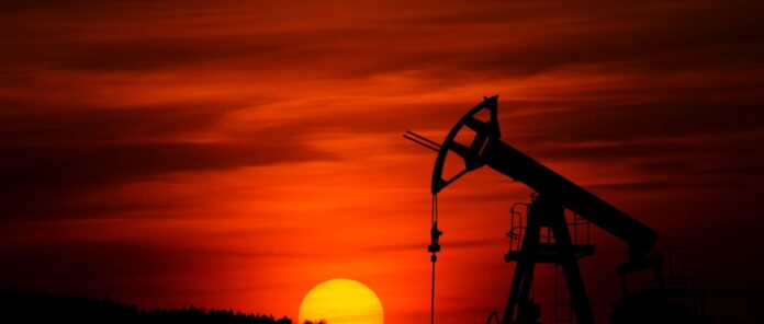 petrelaio 1 8.jpg petrelaio 1 8.jpg