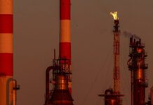 petrelaio 1200x630.jpg