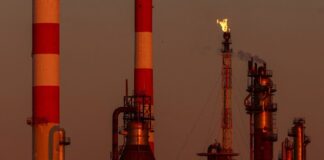 petrelaio 1200x630.jpg