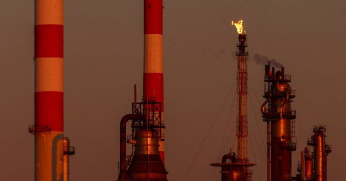 petrelaio 1200x630.jpg petrelaio 1200x630.jpg