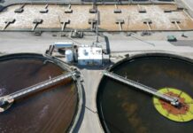 pexels giantasparagus 35425759 620x350.jpg