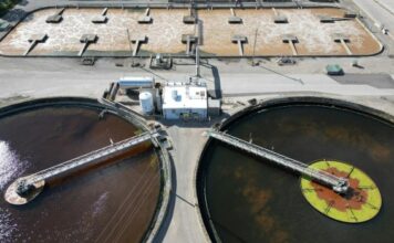 pexels giantasparagus 35425759 620x350.jpg