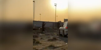 pilotos 1200x630.jpg