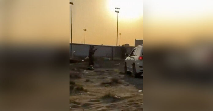 pilotos 1200x630.jpg