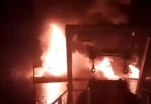 ploio persikos 1200x630.jpg