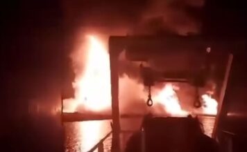 ploio persikos 1200x630.jpg