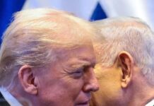 president trump 1200x630.jpg