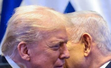 president trump 1200x630.jpg