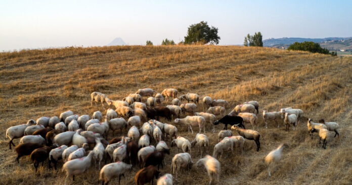 provata eur 1200x630.jpg