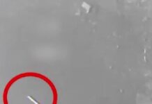 puravlos 1 1200x630.jpg