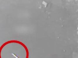 puravlos 1 1200x630.jpg