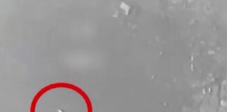 puravlos 1 1200x630.jpg