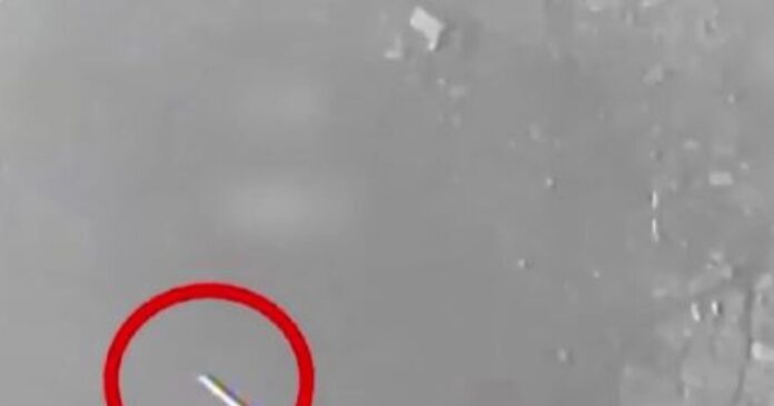 puravlos 1 1200x630.jpg