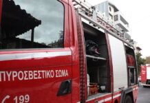 purosvestiki 1200x630.jpg