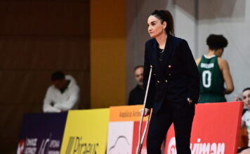 selenerdem 2 1200x630.jpg