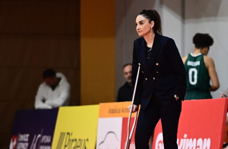 selenerdem 2 1200x630.jpg